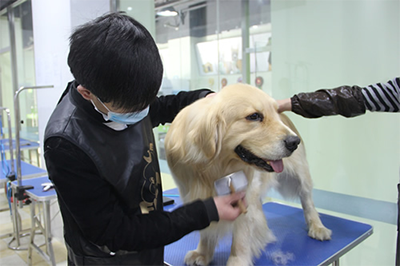 招聘信息图片